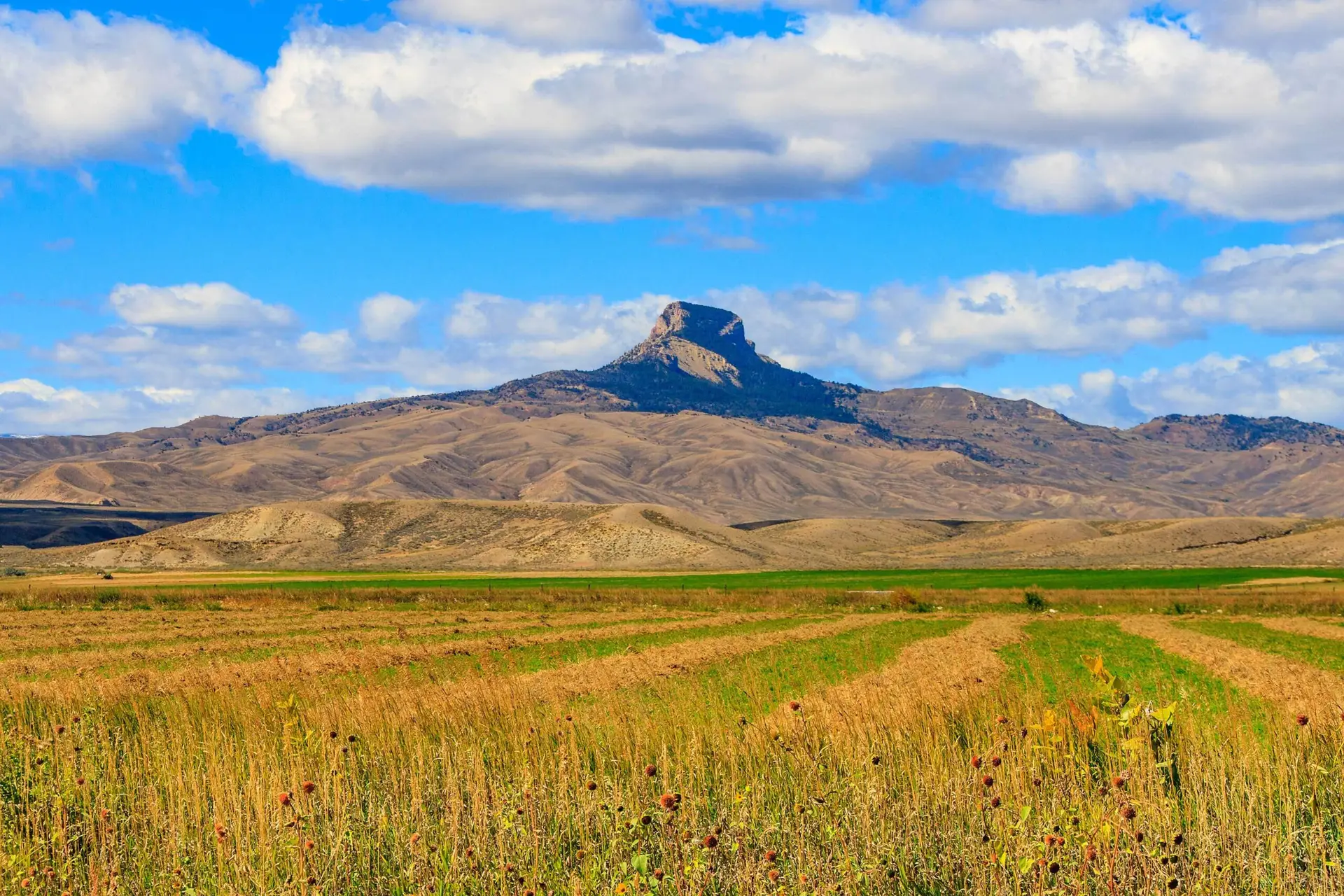 Heart Mountain overlooking the Big Horn Basin near Powell WY with open fields and wide Wyoming landscape under blue skies and clouds